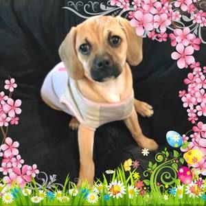 Meet your Posher, Tegan